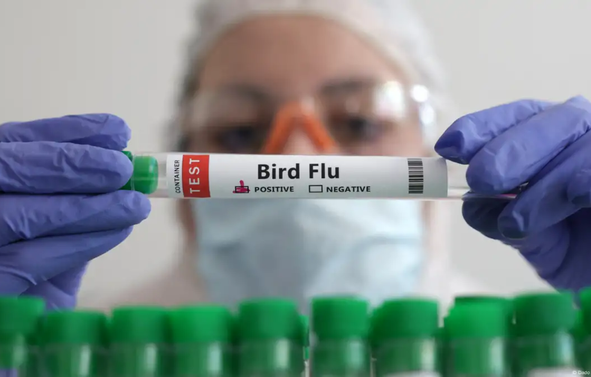 First Presumptive Case of H5 Bird Flu Detected in Canada