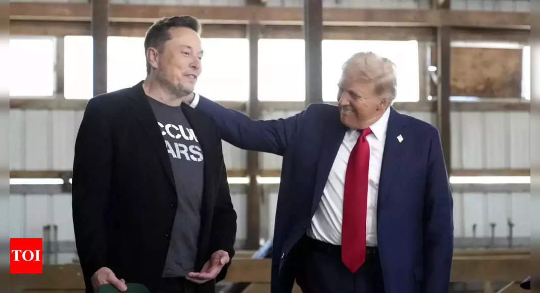 Musk's Victory Sparks Division as Critics Congratulate Him Amidst Vaccine Muttals for President-elect Trump