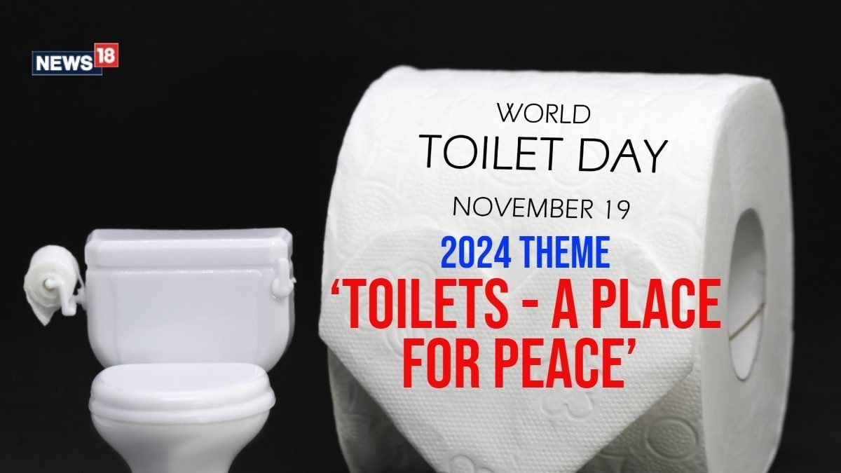 World Toilet Day 2024: Role Of Sanitation In Health And Disease Prevention