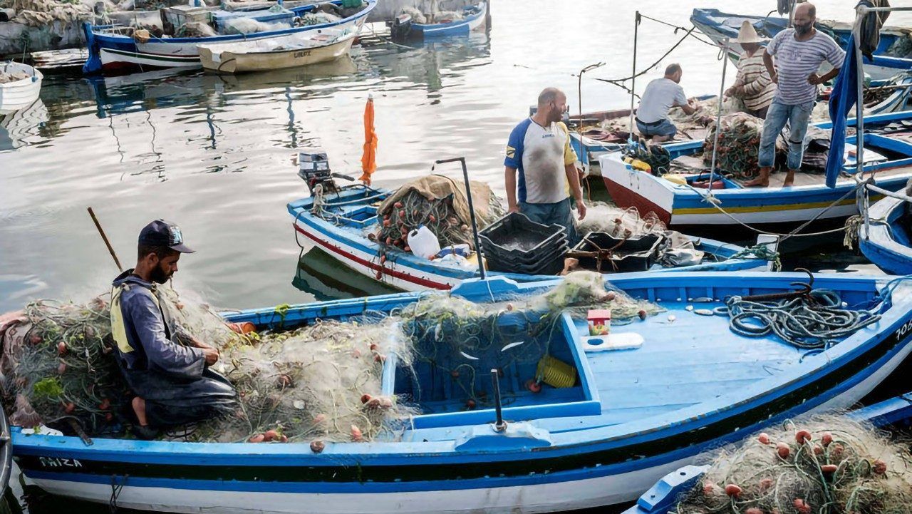 Vatican Warns Against Environmental Harm in Fishing Industry on World Fisheries Day