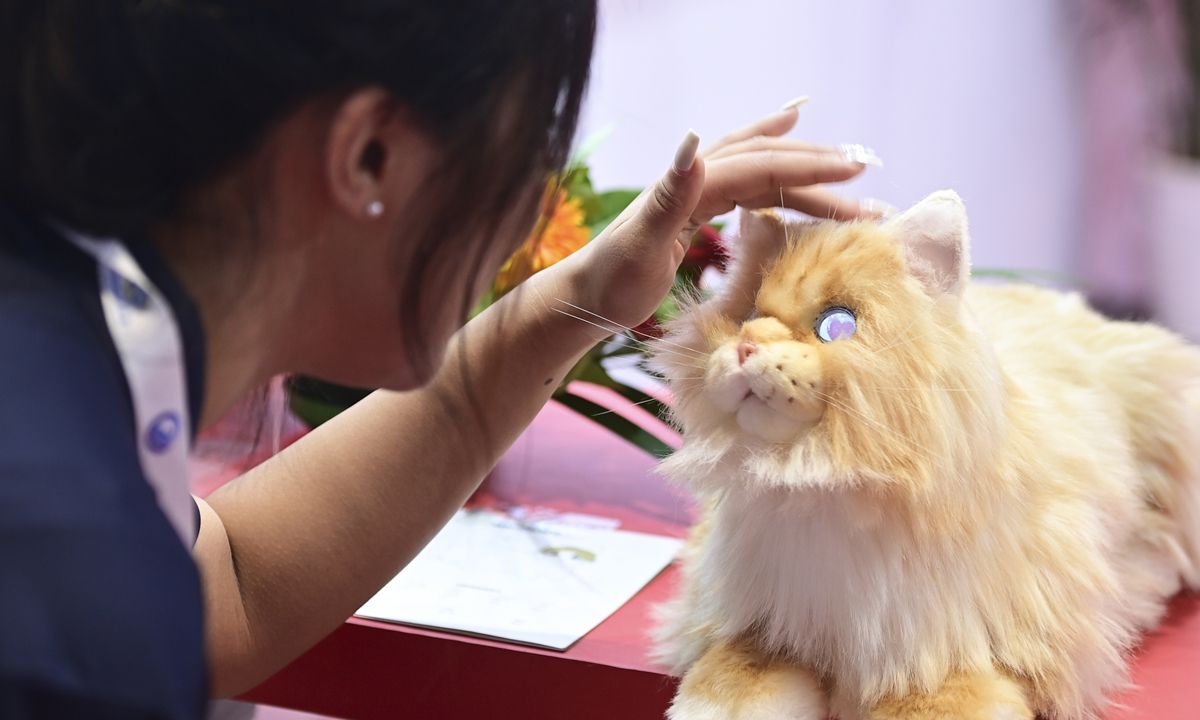 Simulation Becomes Reality: AI Pet Boom Hits China's Shelves