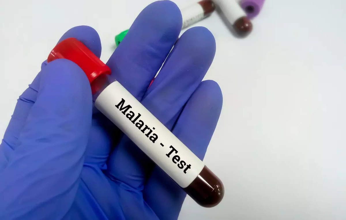 India on Cusp of Achieving Malaria-Free Future