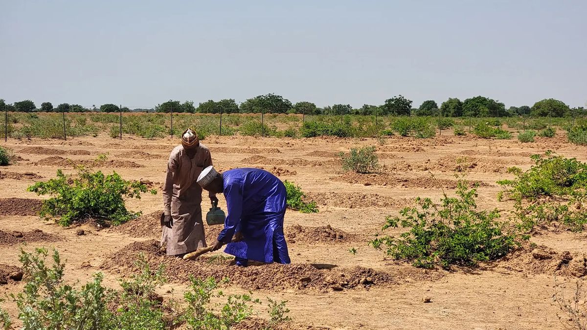 Global Warming Causes 40% of the World's Land to Dry Out