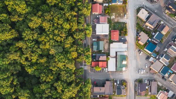 Title: Green Spaces Vital for Health, Reveals New Research from Oxford Professor