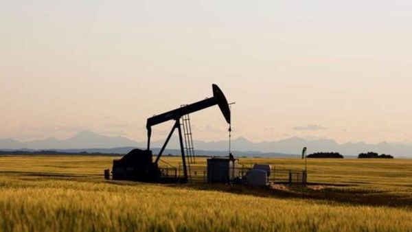 Trump Factor: Decoding the Potential Impact on Crude Prices and India's Oil Economy