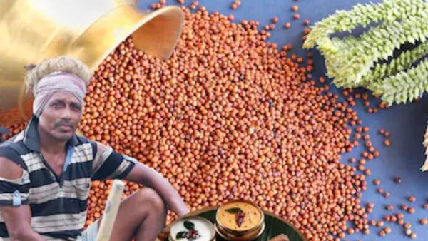 Ragi's Miraculous Health Benefits: From Diabetes Management to Cancer Reduction