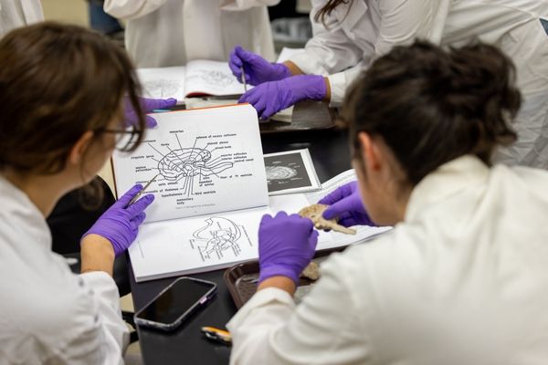 UR Researchers Make Breakthroughs in Brain Research
