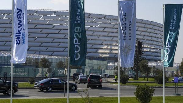 COP29: Small Victory For Carbon Markets as Developed Nations Show Willingness to Agree On Standards