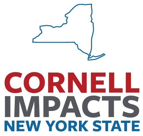 Cornell Students, Onondaga Nation School Collaborate on Medicinal Garden Project Aimed at Revitalizing Indigenous Education Systems