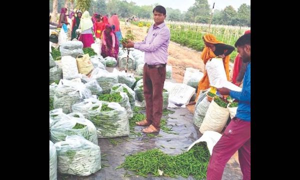 Madhya Pradesh Sets New Record as India's Leading Producer of Spice Crops