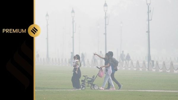 Air Pollution Threatens Children's Health: Expert Warns of Permanent Lung Damage, Premature Births