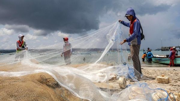 Vatican Leader Warns Against Economic Model Harmful to Environment on World Fisheries Day