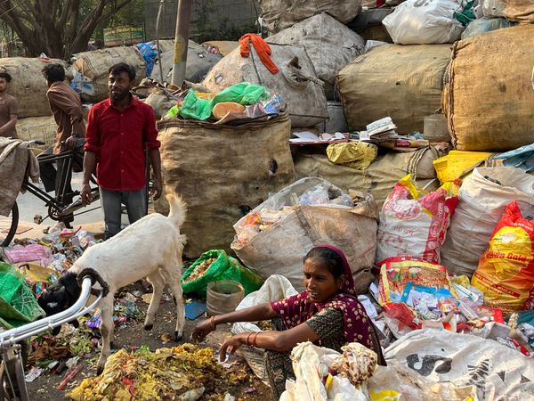 Delhi's Deadly Smog: A City Trapped in a Cycle of Suffering