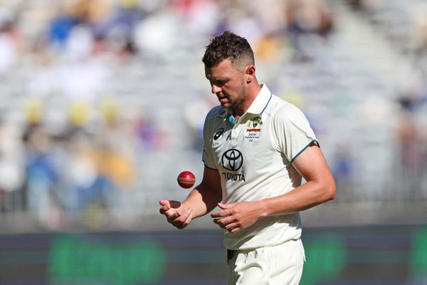 Australia's Josh Hazlewood Ruled Out of 2nd Test Against India with Side Strain Injury