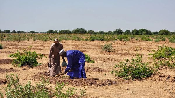 Global Warming Causes 40% of the World's Land to Dry Out