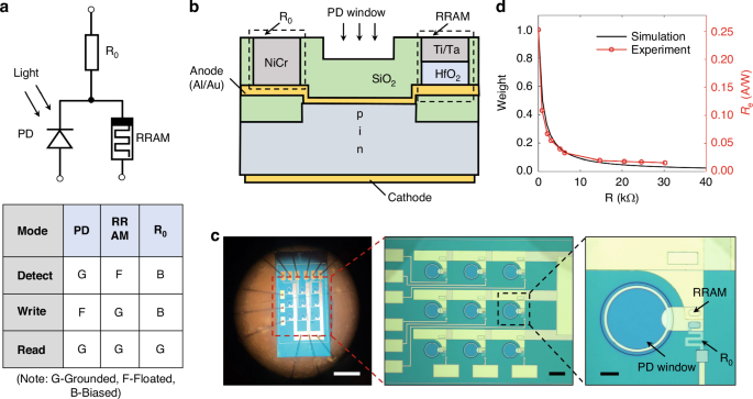 This text appears to be a scientific article discussing the development and analysis of a new type of computer memory called Resistive Random Access Memory (RRAM) implemented in a photo-detector (PD). The article focuses on two aspects: