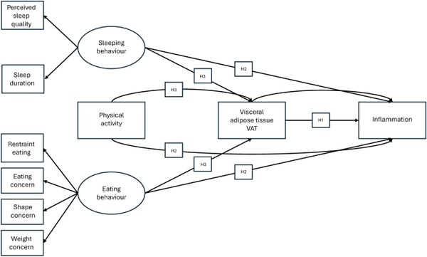 This study examined the relationship between physical activity, eating behavior, sleep quality, and visceral adiposity (VAT) accumulation in menopausal women. The key findings are: