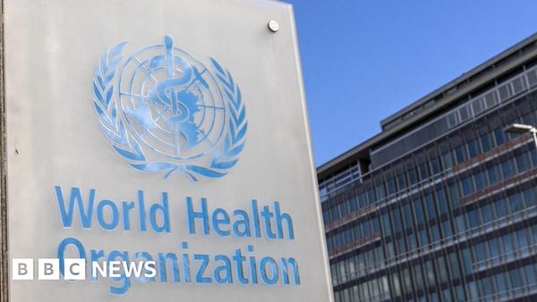 US Pulls Out of World Health Organization Amid Criticism Over Covid-19 Response