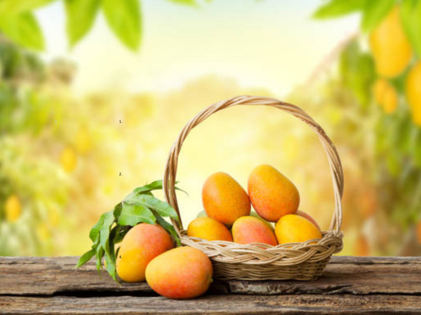 NaturalEnergyBoost: Mango Sets to be Summer's New Power House