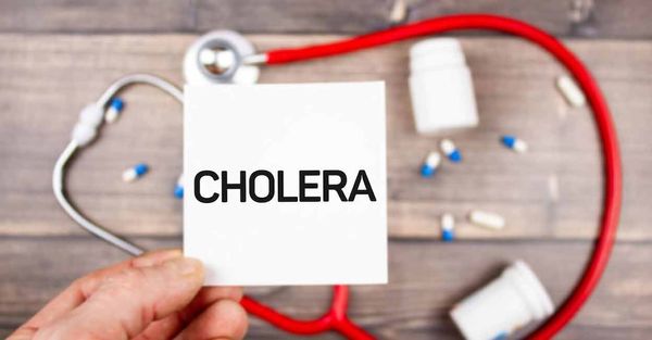 Kerala's First Cholera Death in a Decade Triggers Wide-Ranging Surveillance Efforts