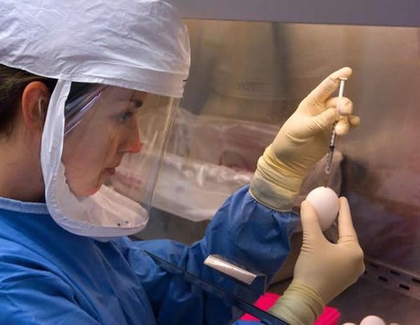 Redefined Public Health Workforce Gains Momentum