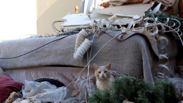 devastation in US Midwest and South as powerful storm systems leave trail of death and devastation