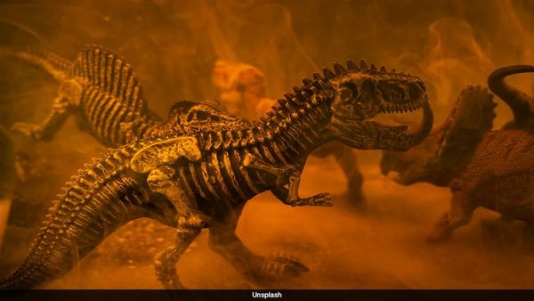 Fossil Discoveries Shed Light on Ancient Cancer