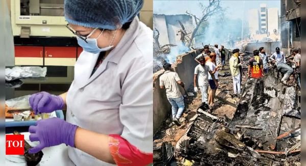 Horrific Air Crash: DNA Experts Work Around Clock to ID Victims