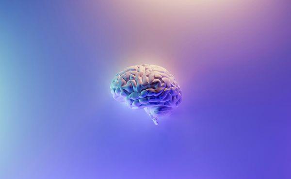 Brain-Computer Interface Technology Makes Breakthrough: Aussie Scientists Develop AI System That Decodes Thoughts